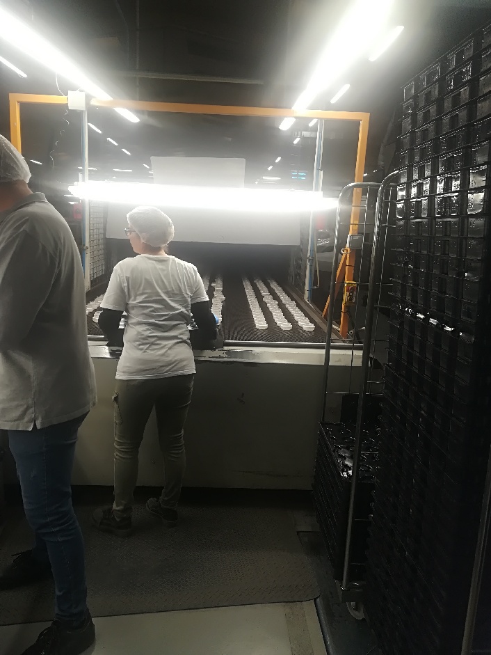 Journée des droits des femmes